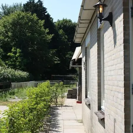 De Bosrand Grenzend Aan Het Bos * Castricum