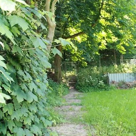 De Bosrand Grenzend Aan Het Bos *