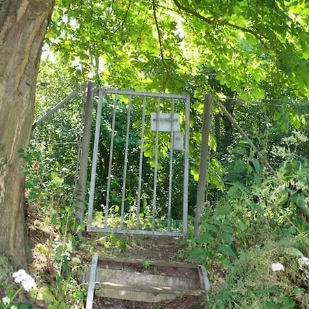 De Bosrand Grenzend Aan Het Bos *