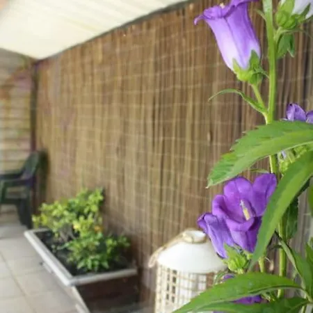 De Bosrand Grenzend Aan Het Bos