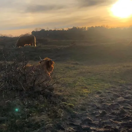 Vakantiehuis De Bosrand Grenzend Aan Het Bos Castricum