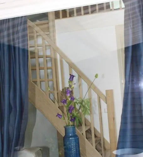 De Bosrand Grenzend Aan Het Bos Castricum