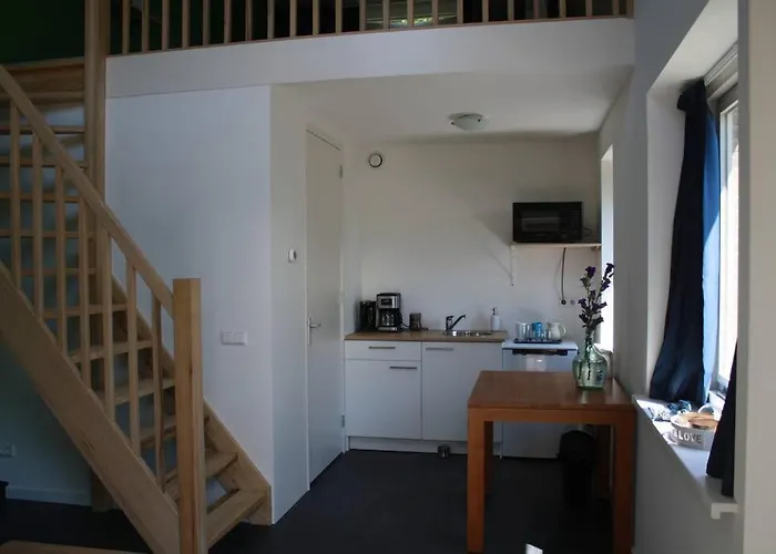 De Bosrand Grenzend Aan Het Bos * Castricum