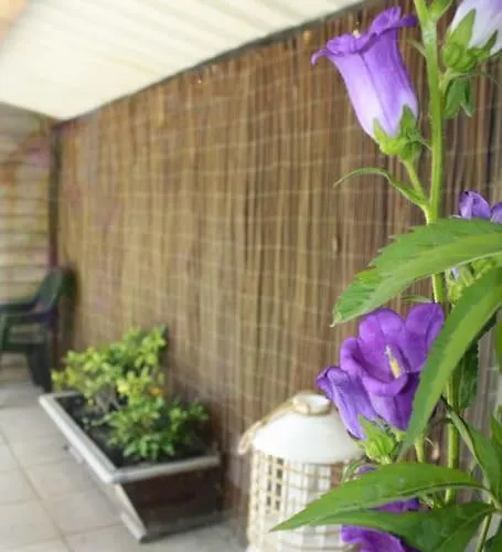 De Bosrand Grenzend Aan Het Bos