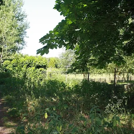 De Bosrand Grenzend Aan Het Bos Castricum