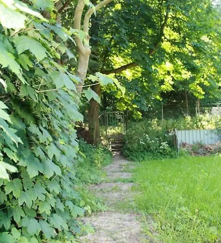 De Bosrand Grenzend Aan Het Bos *