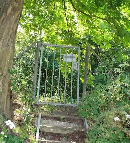 De Bosrand Grenzend Aan Het Bos *