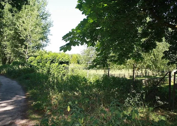 De Bosrand Grenzend Aan Het Bos Кастрикюм